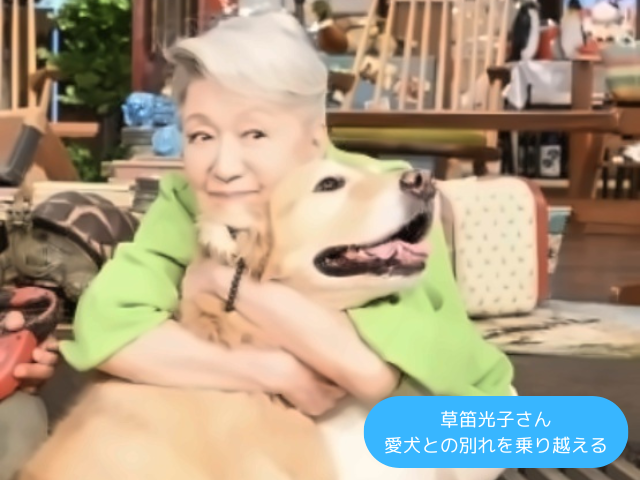 草笛光子さん 愛犬との別れを乗り越える