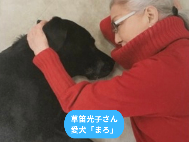 草笛光子さん愛犬「まろ」