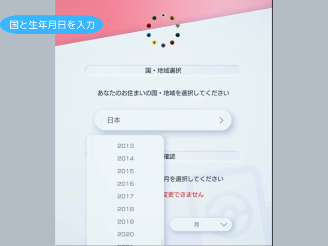 国と生年月日を入力