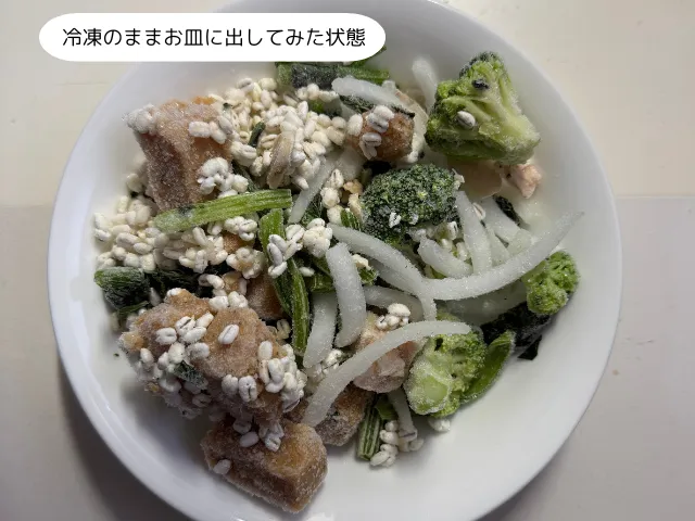冷凍のままお皿に出してみた状態