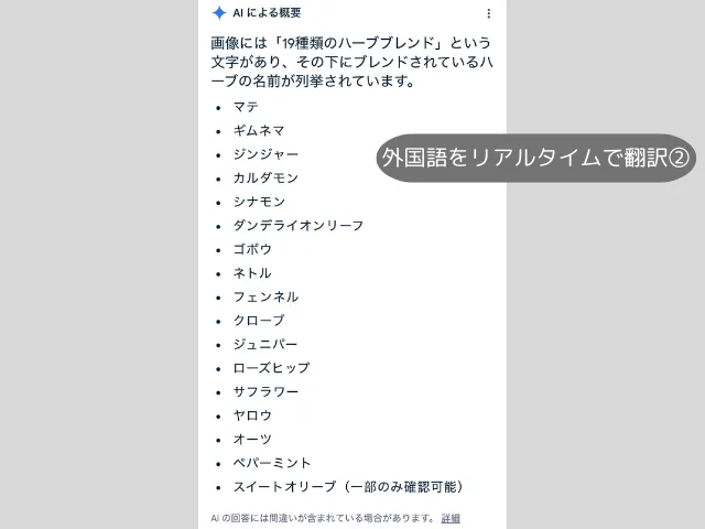 外国語をリアルタイムで翻訳②