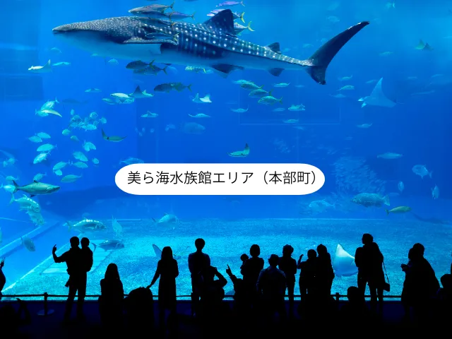美ら海水族館エリア（本部町）