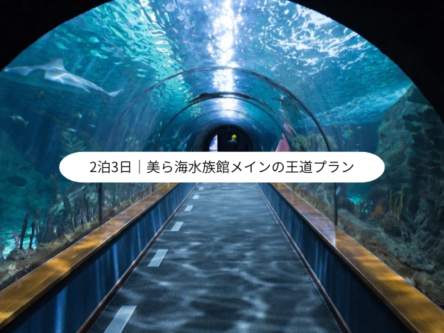 2泊3日｜美ら海水族館メインの王道プラン