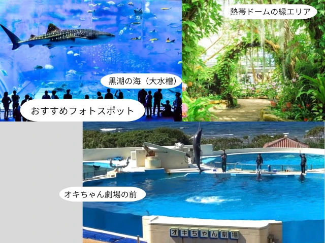 おすすめフォトスポット