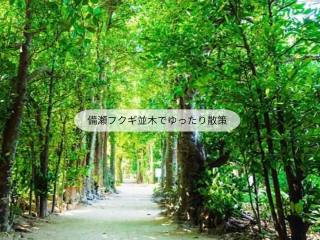 備瀬フクギ並木でゆったり散策