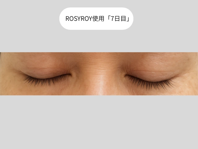 ROSYROY使用「7日目」