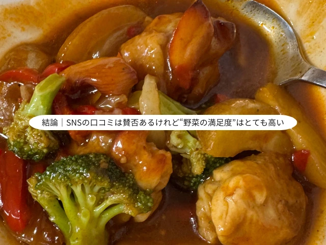 結論｜SNSの口コミは賛否あるけれど“野菜の満足度”はとても高い