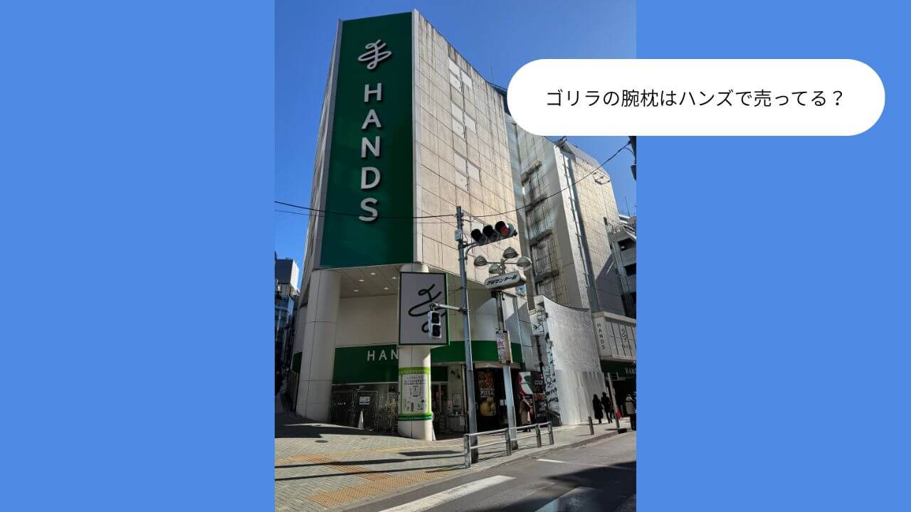 ゴリラの腕枕はハンズで売ってる？ 