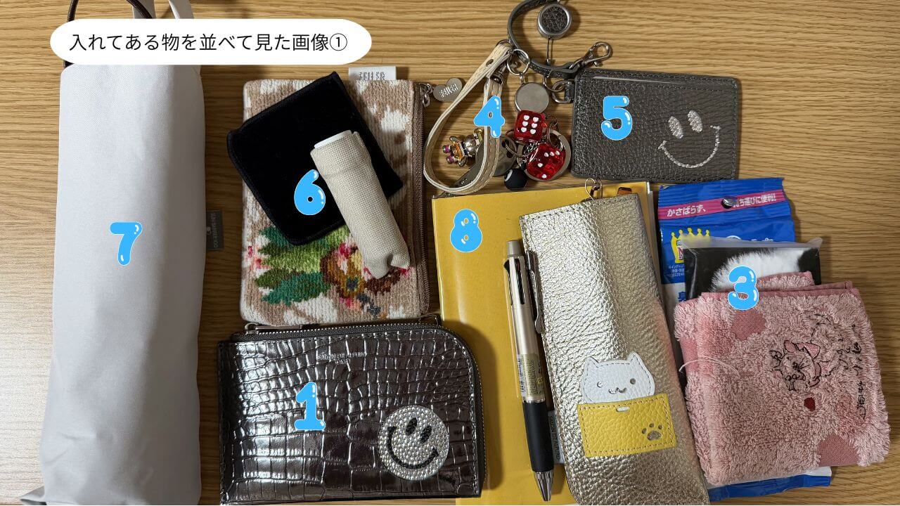 ミディアムパレスに入れた荷物一覧 財布・化粧ポーチ・折り畳み傘