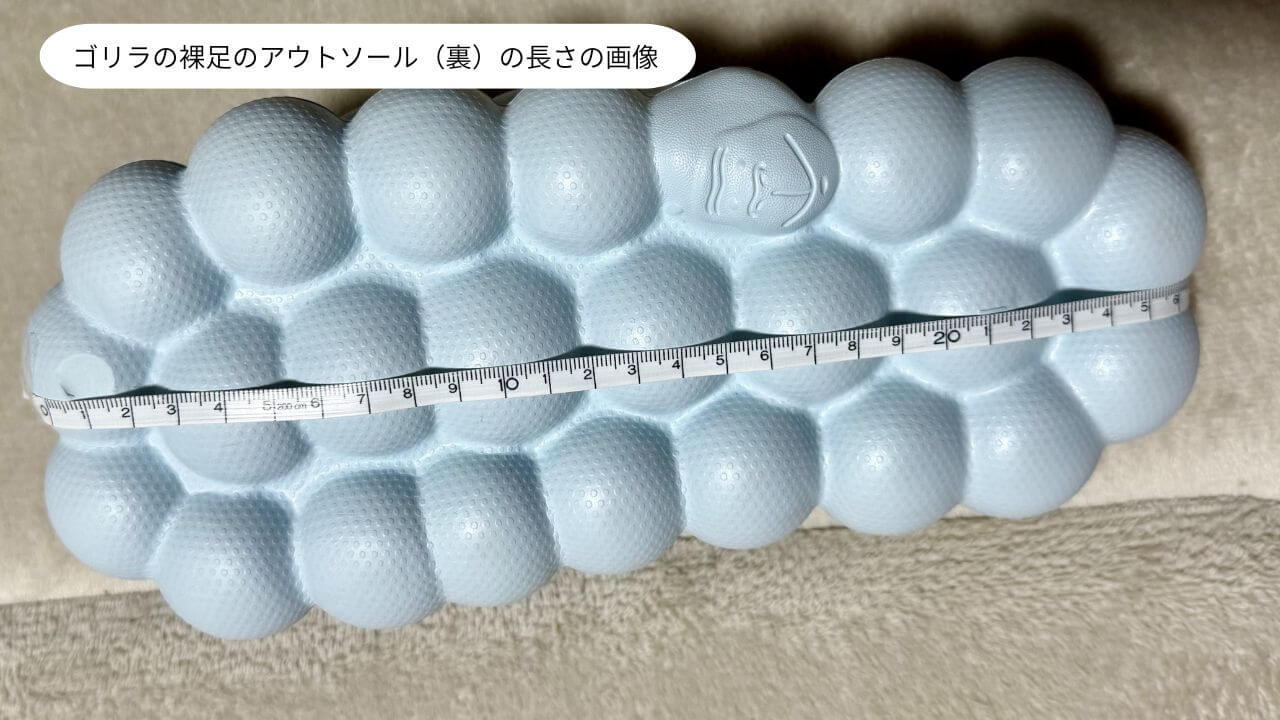 ゴリラの裸足のアウトソール（裏）の長さの画像