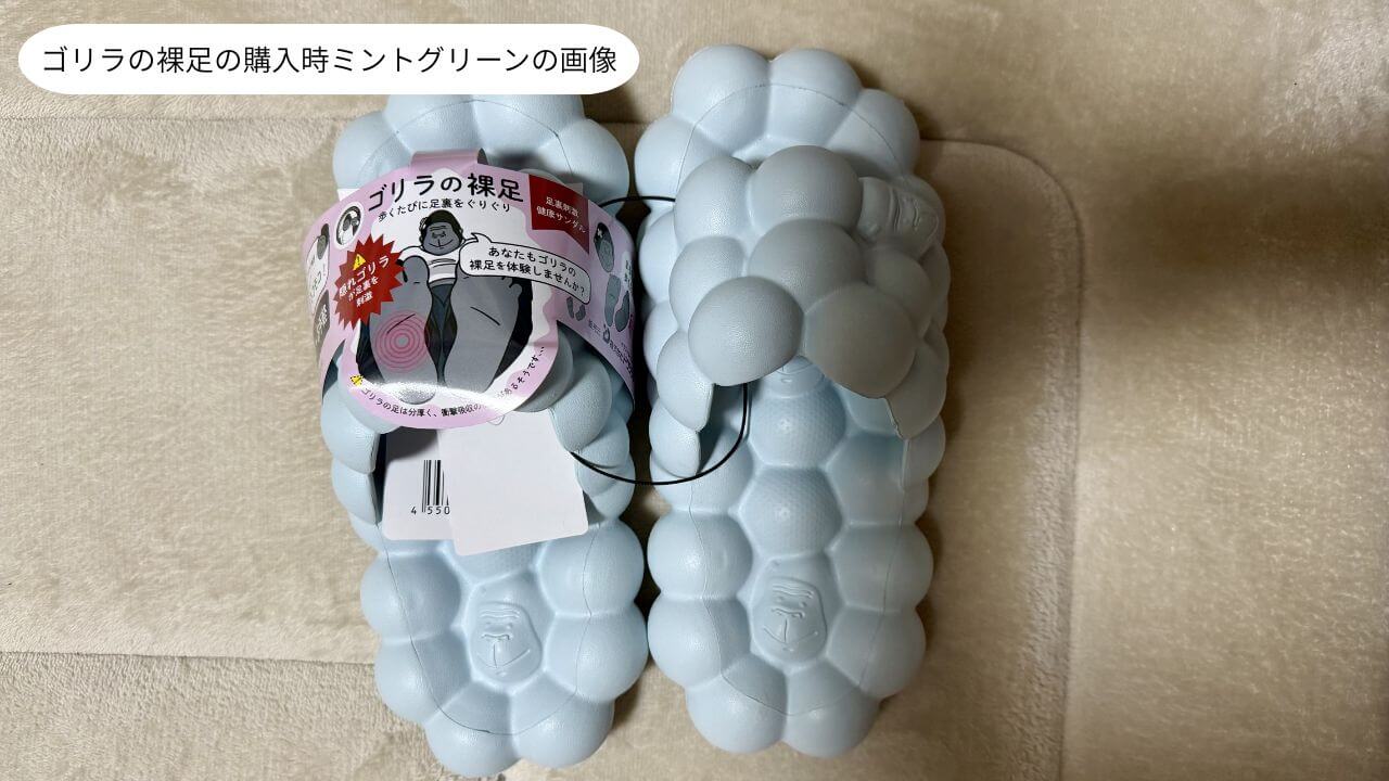 ゴリラの裸足の購入時ミントグリーンの画像