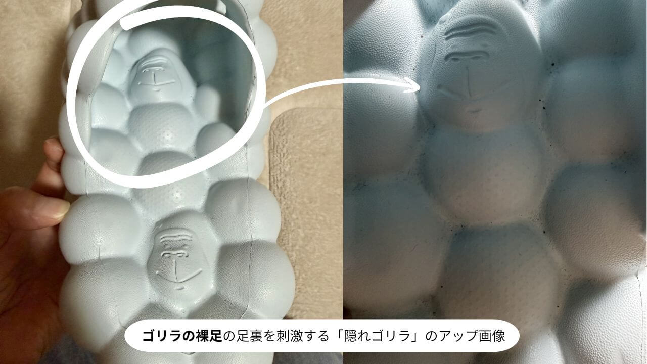 ゴリラの裸足の足裏を刺激する「隠れゴリラ」のアップ画像